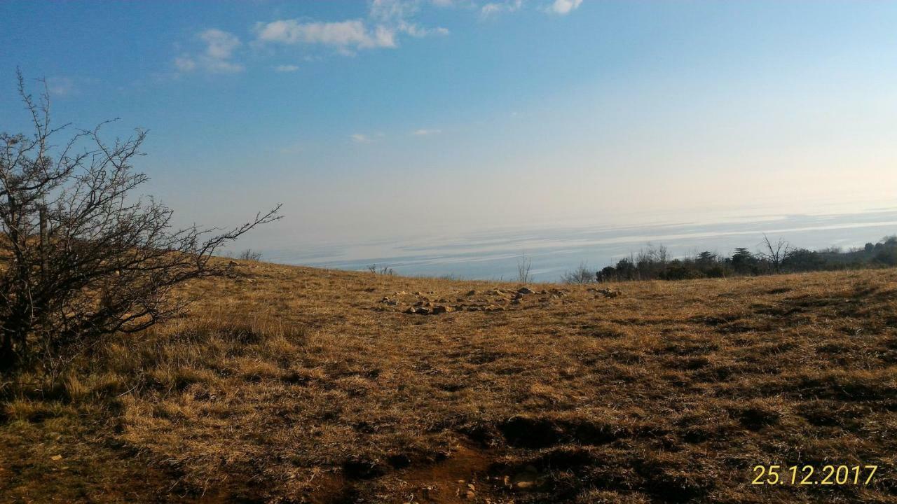 Agriturismo Holle Манерба дел Гарда Екстериор снимка